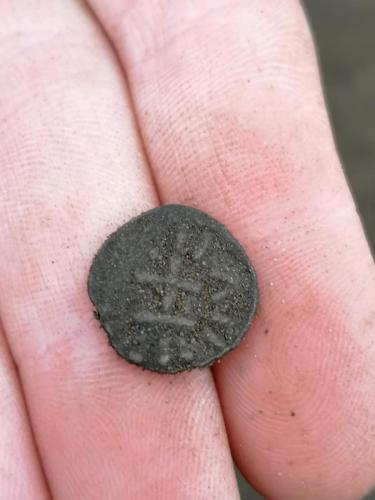 tremissis-Linda-08-03-2021