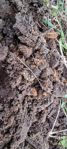 1-10-2021-1e-vondst-Martin-met-zand