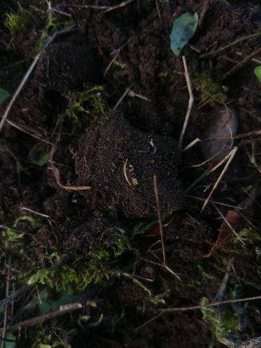 d6ae8c48-6cd4-4b95-9ec7-ded996f7fe7b