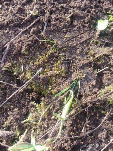 e0b4b569-fcc8-4eea-8e28-51dbaa78dd1d