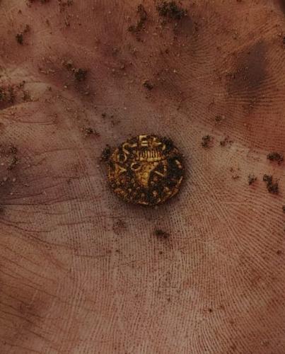 Tremissis-van-Linda-30-09-2020-2