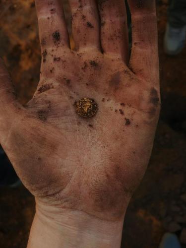 Tremissis-van-Linda-30-09-2020