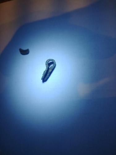 29-12-2021-gordelbeslag-Linda-2