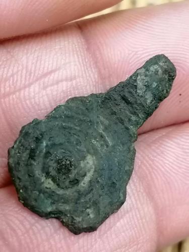 Riemhanger-08-11-2020