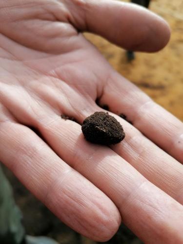 053 30-09-2020 11.21 2