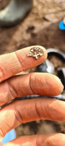 054 30-09-2020 11.21 3