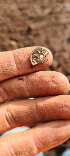 055 30-09-2020 11.21 4