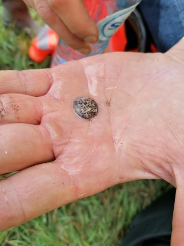 064 30-09-2020 13.16