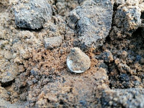 072 30-09-2020 13.46