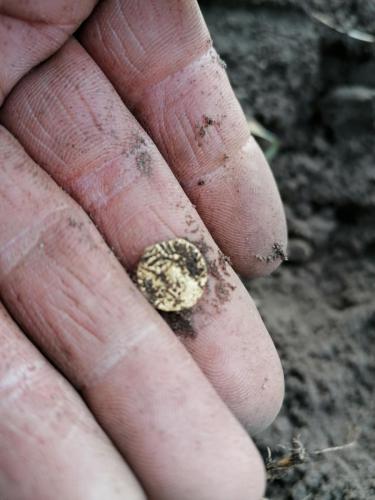 096 30-09-2020 15.52 2