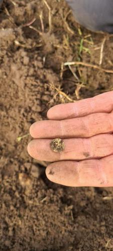 099 30-09-2020 15.53 3