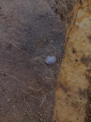 119 1-10-2020 12.41 2