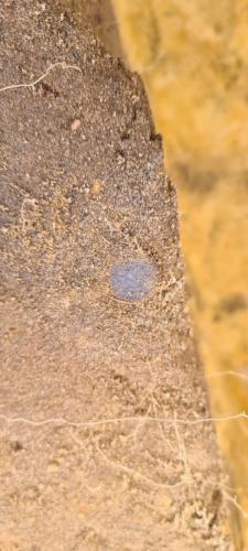 121 1-10-2020 12.43 1