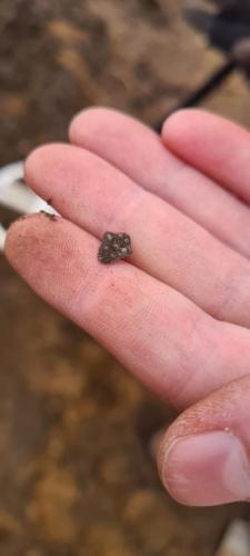 010 8-3-2021 zilver vaatwerk