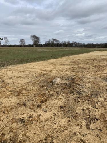 028 8-3-2021 13.49 6