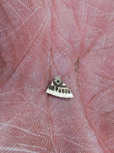 037 8-3-2021 15.47 2